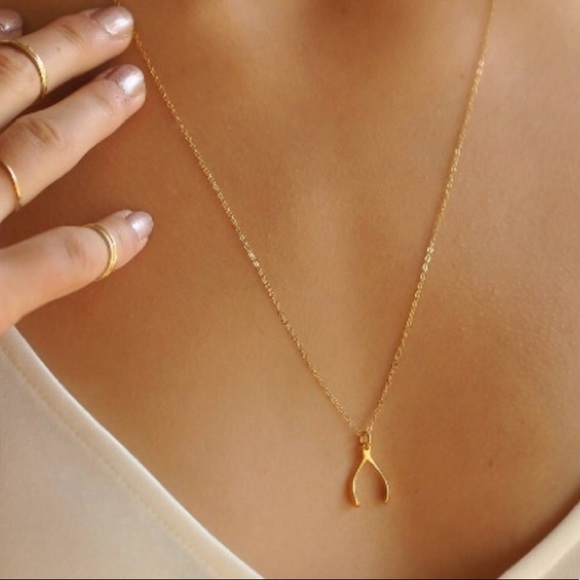 Dainty Wishbone Necklace - Picture 5 of 7